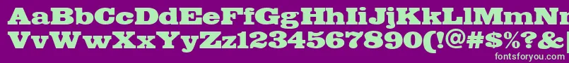 Fette Font – Green Fonts on Purple Background