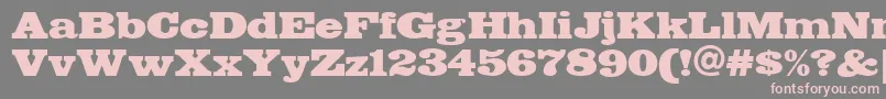 Fette-Schriftart – Rosa Schriften auf grauem Hintergrund