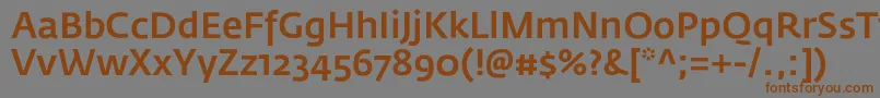 Шрифт FedrasansproMedium – коричневые шрифты на сером фоне