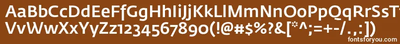 Шрифт FedrasansproMedium – белые шрифты на коричневом фоне