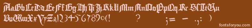 GutenbergBibelschrift Font – Pink Fonts on Brown Background