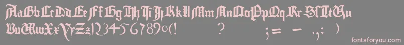 GutenbergBibelschrift Font – Pink Fonts on Gray Background