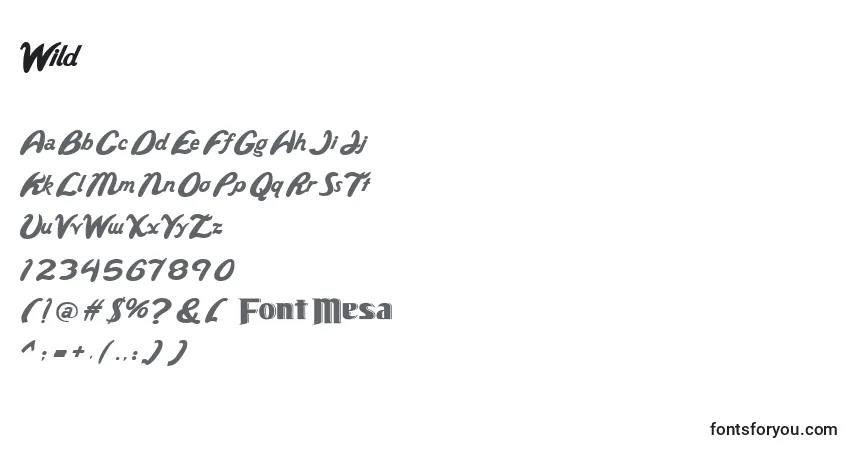 characters of wild font, letter of wild font, alphabet of  wild font