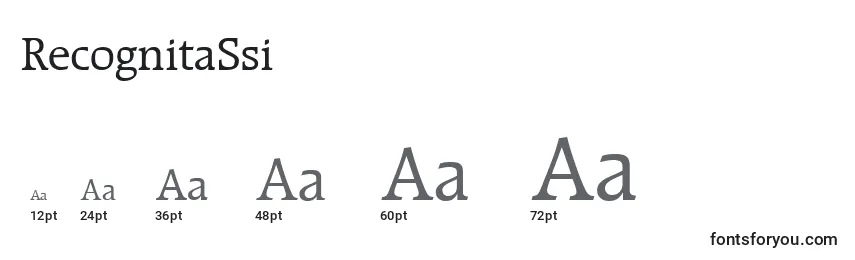 sizes of recognitassi font, recognitassi sizes