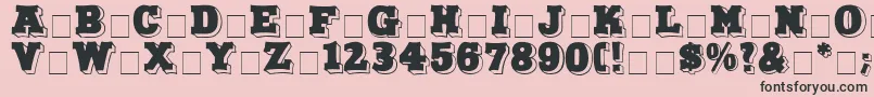 NorthFaceDisplayCapsSsi Font – Black Fonts on Pink Background