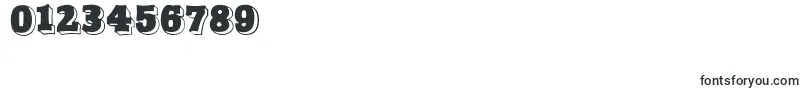 NorthFaceDisplayCapsSsi Font – Fonts for Numbers and Digits