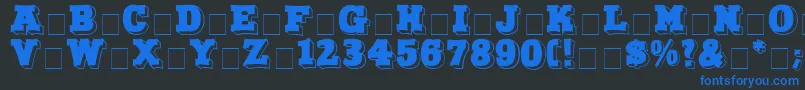 NorthFaceDisplayCapsSsi Font – Blue Fonts on Black Background