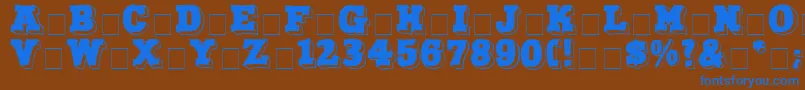 NorthFaceDisplayCapsSsi Font – Blue Fonts on Brown Background