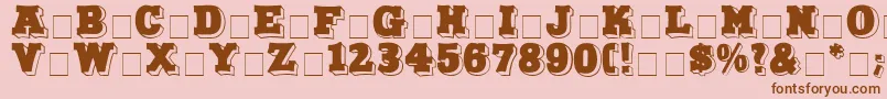 NorthFaceDisplayCapsSsi Font – Brown Fonts on Pink Background