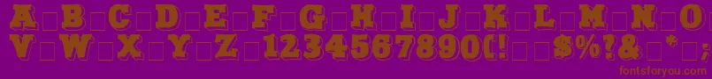NorthFaceDisplayCapsSsi Font – Brown Fonts on Purple Background