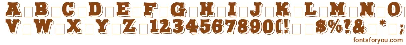 NorthFaceDisplayCapsSsi Font – Brown Fonts on White Background