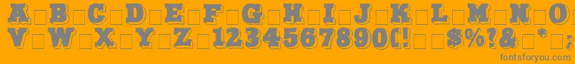 NorthFaceDisplayCapsSsi Font – Gray Fonts on Orange Background