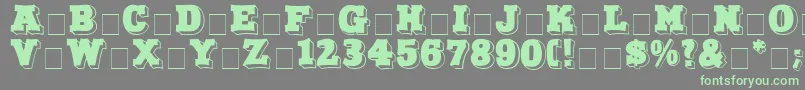 NorthFaceDisplayCapsSsi-fontti – vihreät fontit harmaalla taustalla