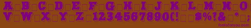 フォントNorthFaceDisplayCapsSsi – 紫色のフォント、茶色の背景
