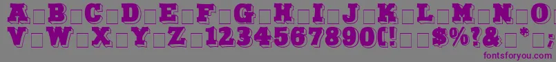 NorthFaceDisplayCapsSsi Font – Purple Fonts on Gray Background