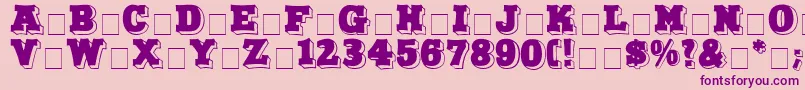 NorthFaceDisplayCapsSsi Font – Purple Fonts on Pink Background