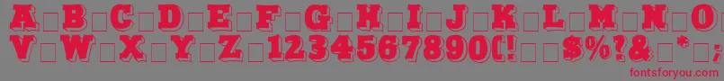 NorthFaceDisplayCapsSsi Font – Red Fonts on Gray Background
