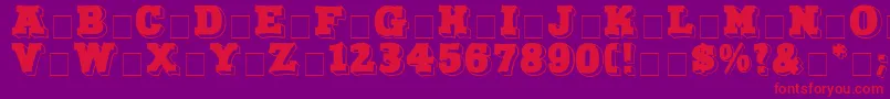 NorthFaceDisplayCapsSsi Font – Red Fonts on Purple Background
