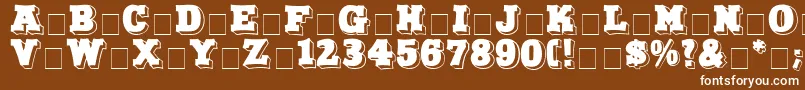 NorthFaceDisplayCapsSsi Font – White Fonts on Brown Background