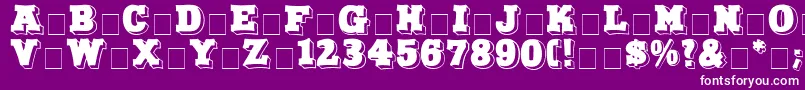 NorthFaceDisplayCapsSsi Font – White Fonts on Purple Background