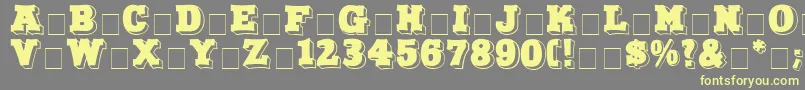 NorthFaceDisplayCapsSsi Font – Yellow Fonts on Gray Background