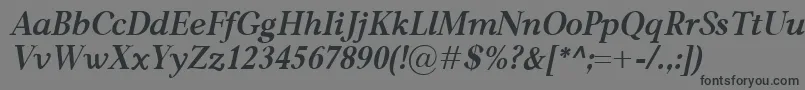 CarniolaBolditalic-Schriftart – Schwarze Schriften auf grauem Hintergrund