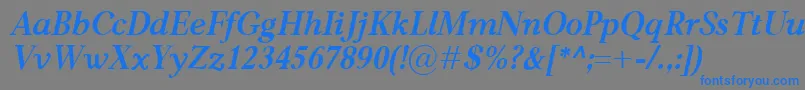 CarniolaBolditalic Font – Blue Fonts on Gray Background