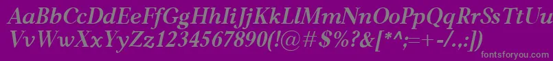 CarniolaBolditalic Font – Gray Fonts on Purple Background