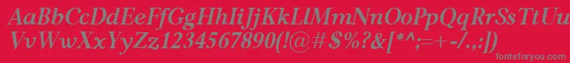 CarniolaBolditalic Font – Gray Fonts on Red Background