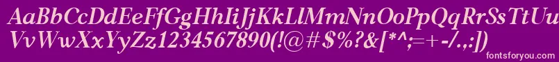 CarniolaBolditalic Font – Pink Fonts on Purple Background
