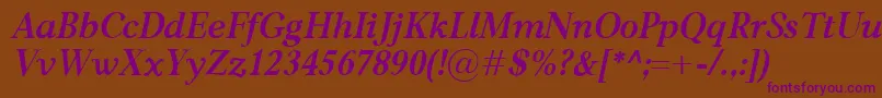 CarniolaBolditalic Font – Purple Fonts on Brown Background