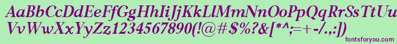 CarniolaBolditalic Font – Purple Fonts on Green Background