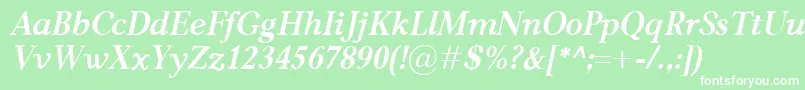 CarniolaBolditalic Font – White Fonts on Green Background