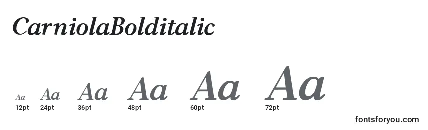 Размеры шрифта CarniolaBolditalic