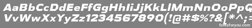 AthabascaExEbIt Font – White Fonts on Gray Background