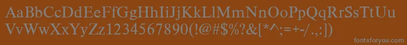 TimelesstcyligRegular Font – Gray Fonts on Brown Background