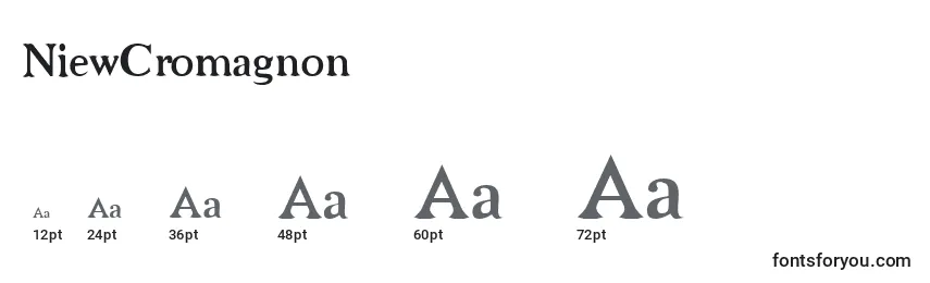 NiewCromagnon Font Sizes