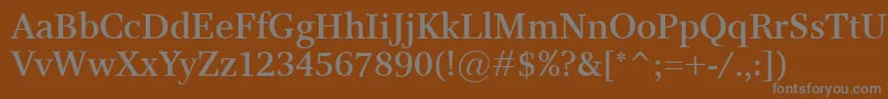 ResPublicaSemibold Font – Gray Fonts on Brown Background
