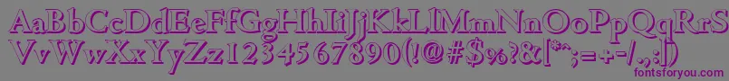 CambridgeshadowBold Font – Purple Fonts on Gray Background