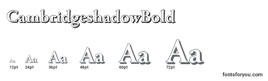 CambridgeshadowBold Font Sizes