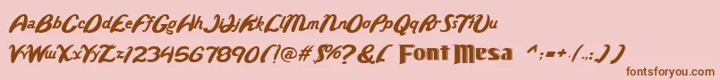 Wild Font – Brown Fonts on Pink Background