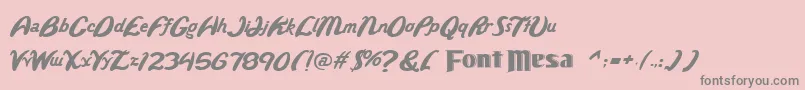 Wild Font – Gray Fonts on Pink Background