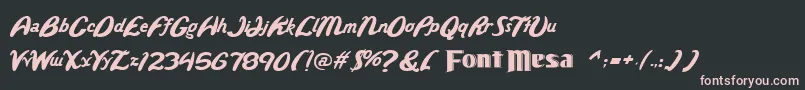 Wild Font – Pink Fonts on Black Background