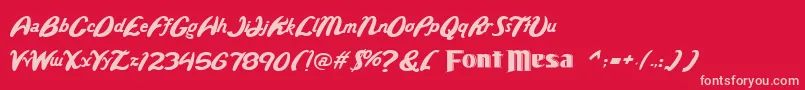 Wild Font – Pink Fonts on Red Background