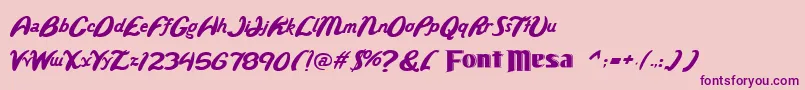 Wild Font – Purple Fonts on Pink Background