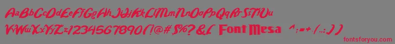 Wild-Schriftart – Rote Schriften auf grauem Hintergrund
