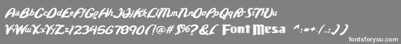 Wild Font – White Fonts on Gray Background