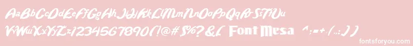 Wild Font – White Fonts on Pink Background