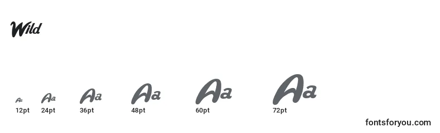 Wild Font Sizes