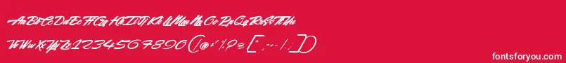 フォントAccelerationReaction – 赤い背景に白い文字